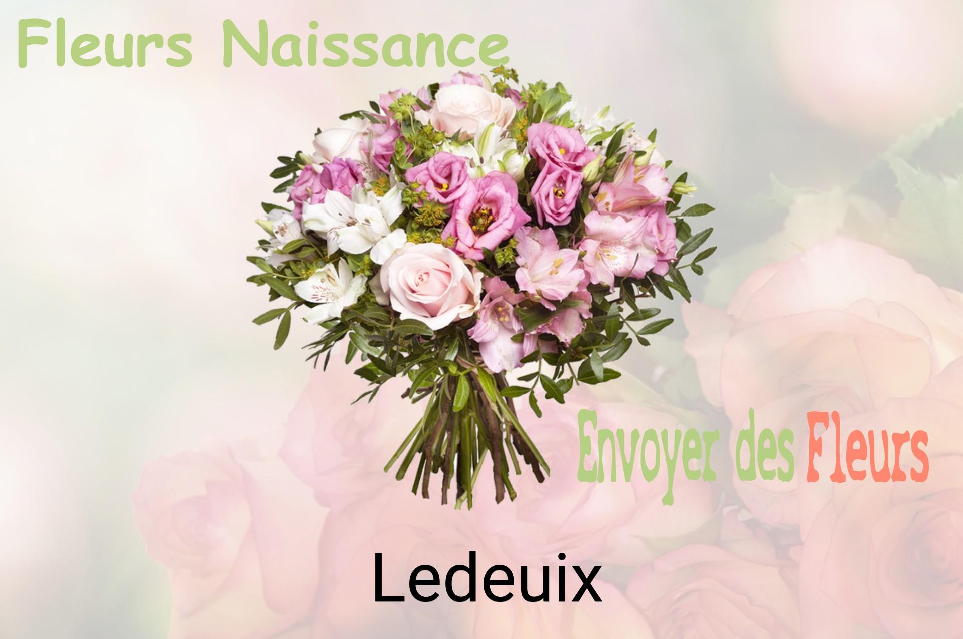 Bouquet de fleurs de naissance livré à Ledeuix